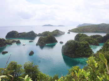 Menimbang Kontribusi Tambang Gag Nikel di Raja Ampat terhadap Cuan Antam (ANTM)