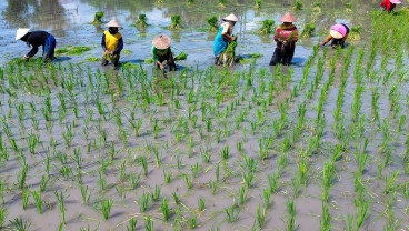 Nilai Tukar Petani Mei 2025 Menurun