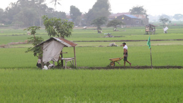Menilik Solusi Isu Regenerasi Petani di Sumsel