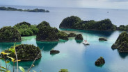 Bareskrim Ikut Selidiki Polemik Tambang Nikel di Raja Ampat