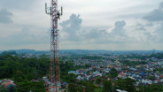 Sudah Keluar Rp640 Miliar, Tower Bersama (TBIG) Masih Mau Buyback Lagi