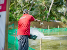 Pertamina Ajak Nelayan dan Petani Cilacap Manfaatkan Energi Ramah Lingkungan