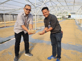Jelajah Daulat Pangan 2025: Bulog Riau-Kepri Maksimalkan Pengolahan Pascapanen di Siak