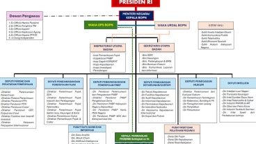 Wacana Badan Penerimaan Negara, Komite Pengawas Perpajakan Harus Ikut Naik Level?