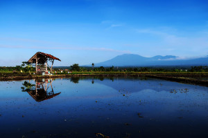 Aktivitas Erupsi Gunung Raung