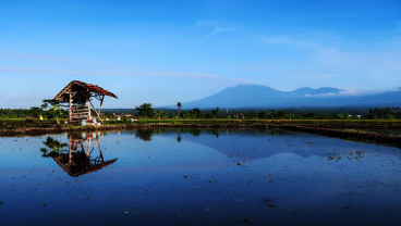 Aktivitas Erupsi Gunung Raung