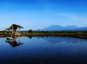 Aktivitas Erupsi Gunung Raung