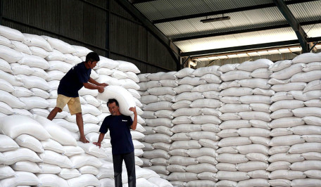 RI Bakal Kirim 10.000 Ton Beras ke Palestina Pakai Dana Indonesia Aid