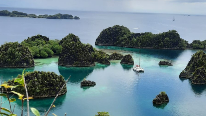 Greenpeace: Ada 6 IUP Tambang di Raja Ampat Berpotensi Aktif Lagi