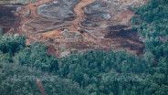 Greenpeace Minta Hentikan Rencana Proyek Smelter Sorong dan Cabut Izin Gag Nikel