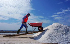 Indonesia Boosts Sugar and Salt Output to Achieve Food Self-Sufficiency