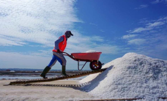 Indonesia Boosts Sugar and Salt Output to Achieve Food Self-Sufficiency