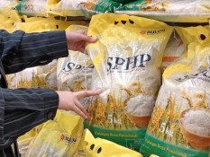 Harga Melambung! 17 Daerah Teriak Minta Beras SPHP Disalurkan