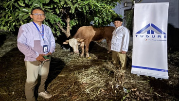 Rayakan Iduladha, Tugure Salurkan Hewan Kurban ke Sejumlah Lokasi
