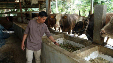 Jelajah Daulat Pangan 2025: RPH Makassar Jadi Perseroda Pangan demi Perkuat Ketahanan dan Distribusi