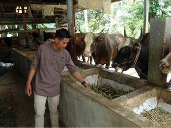 Jelajah Daulat Pangan 2025: RPH Makassar Jadi Perseroda Pangan demi Perkuat Ketahanan dan Distribusi