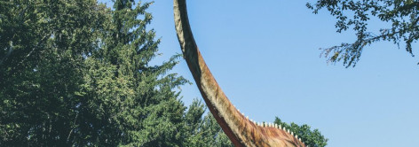 Ilmuwan Temukan Sel Tumor di Dinosaurus, Pengobatan Kanker Masuk Babak Baru
