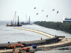 Giant Sea Wall Project Kicks Off Promotional Roadshow