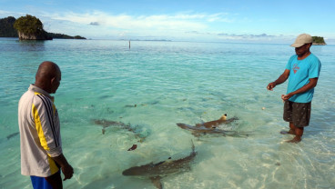 Masyarakat Adat Tutup Tempat Wisata Pulau Wayag di Raja Ampat