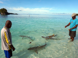 Masyarakat Adat Tutup Tempat Wisata Pulau Wayag di Raja Ampat