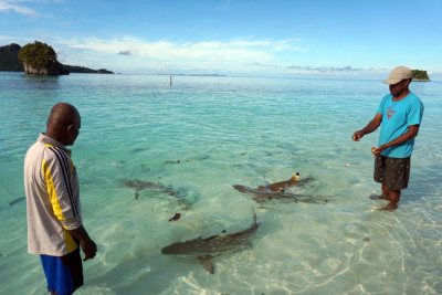 Masyarakat Adat Tutup Tempat Wisata Pulau Wayag di Raja Ampat