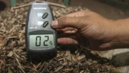 Palm Kernel Shell dan Wood Pellet RI Raup Transaksi Rp1,04 Triliun di Jepang