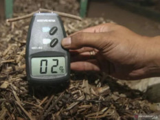 Palm Kernel Shell dan Wood Pellet RI Raup Transaksi Rp1,04 Triliun di Jepang