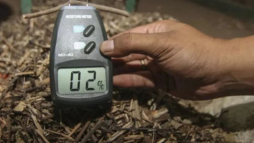Palm Kernel Shell dan Wood Pellet RI Raup Transaksi Rp1,04 Triliun di Jepang