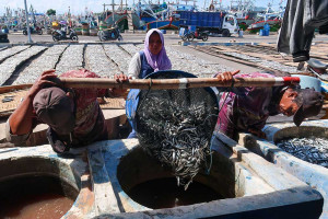Pelaku Usaha Ikan Asin di Jawa Timur Kesulitan Mendapatkan Bahan Baku