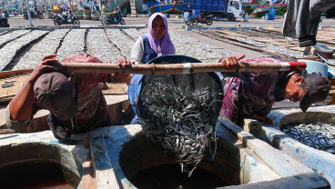 Pelaku Usaha Ikan Asin di Jawa Timur Kesulitan Mendapatkan Bahan Baku