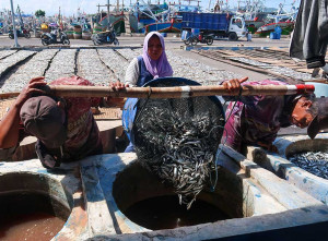 Pelaku Usaha Ikan Asin di Jawa Timur Kesulitan Mendapatkan Bahan Baku