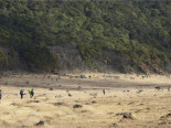 Duh, 5.004 Orang Mendaki Ilegal ke Gunung Gede Pangrango