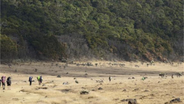 Duh, 5.004 Orang Mendaki Ilegal ke Gunung Gede Pangrango