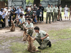 Solo Safari Siapkan Aneka Promo dan Program Sambut Liburan Sekolah
