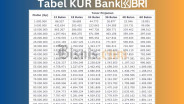 Tabel Angsuran KUR BRI Terbaru 2025, beserta Syarat Pengajuan