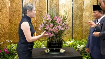 Presiden Singapura Beri Anggrek, Prabowo Namai Paraphalante Dora Sigar Soemitro