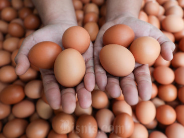 Ini Makanan yang Baik Bagi Perkembangan Otak Anak