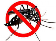 Hari Dengue ASEAN, Pencegahan Penting di Negara Endemik