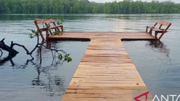 Keasrian Hutan di Kepulauan Mentawai Sumbar Terancam Dirusak