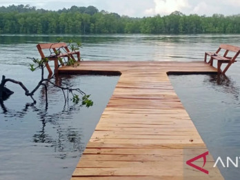 Keasrian Hutan di Kepulauan Mentawai Sumbar Terancam Dirusak