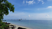 Sepasang Pulau di Anambas Kepri Dijual Melalui Website