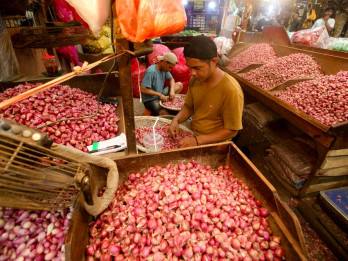 Produksi Bawang Merah Majalengka Turun, Petani Hadapi Tekanan Harga dan Cuaca