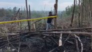 Deforestasi di Tesso Nilo, Kapolda Riau Tegaskan Komitmen Tindak Pelaku