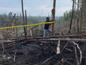Deforestasi di Tesso Nilo, Kapolda Riau Tegaskan Komitmen Tindak Pelaku