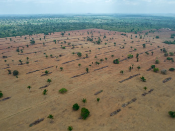 Koalisi Pemilik Aset Senilai US$9,5 Triliun Targetkan Portofolio Bebas Deforestasi
