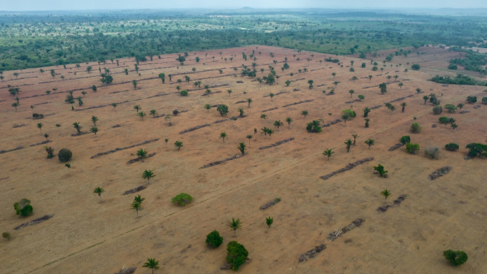 Koalisi Pemilik Aset Senilai US$9,5 Triliun Targetkan Portofolio Bebas Deforestasi