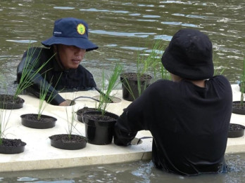 Kuningan Diguyur Bantuan Benih Padi untuk 4.925 Hektare Lahan