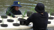Kuningan Diguyur Bantuan Benih Padi untuk 4.925 Hektare Lahan