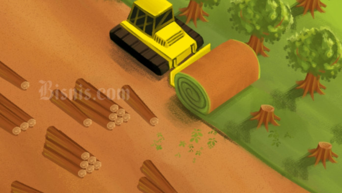 Upaya Pemerintah Selamatkan Taman Nasional Tesso Nilo dari Perambah Hutan Ilegal