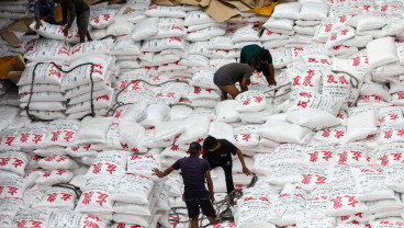 OPINI : Membangun Kembali Industri Gula Nasional